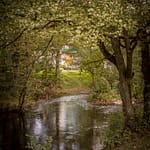 Bilde høst Akerselva Oslo av Ørjan Liland