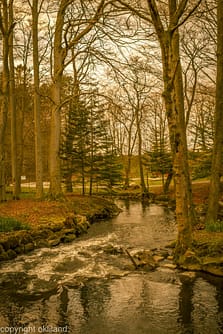 bilde av trær og elv i Sandvedparken sandnes