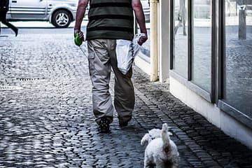Mann med hund i Stavanger
