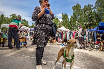 Dame med hund Oslo Grunerløkka Birkelunden Grønland