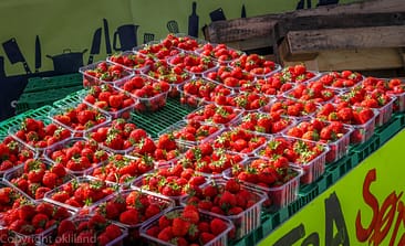 Jordbær på Gladmat Bilder Gladmat festivalen Gladmaten