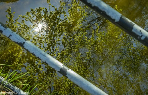 Speilbilde i Sandvedparken i Sandnes